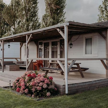 Chalet Tulpenweide - Recreatie Breezand Ngoại thất bức ảnh
